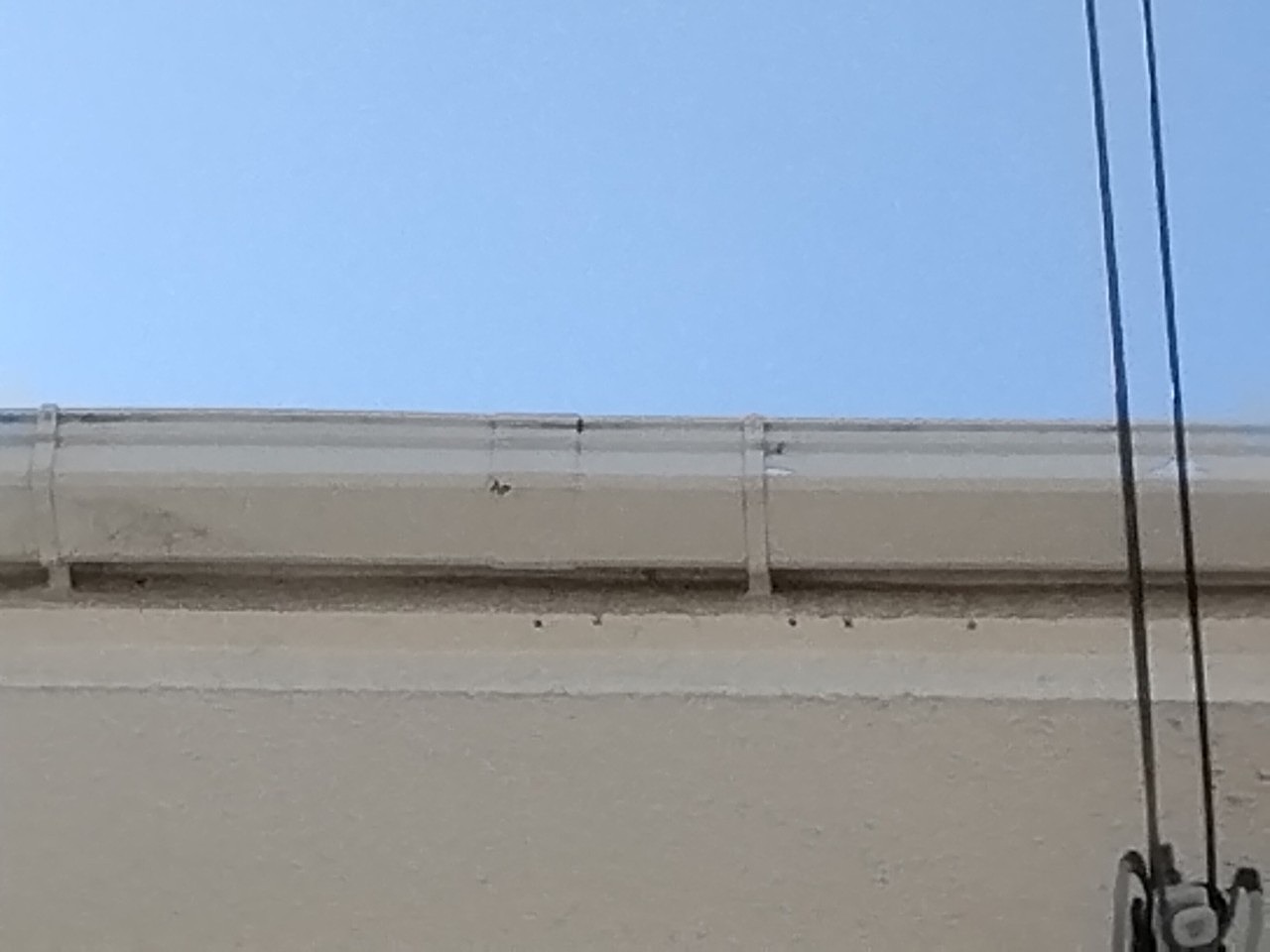 軒樋(軒どい)　ひび